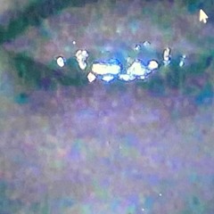 cuzzobusto! p.pitsearches