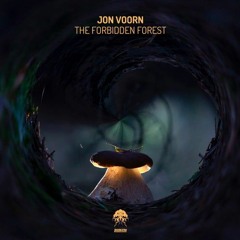 John Voorn - The  Forbidden Forest (Night Shift Master Remix)