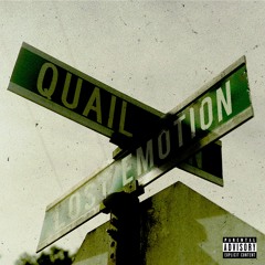 Quail P - Lost Emotion (Prod. Seph Got The Waves)