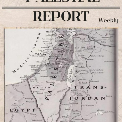 Stream Palestine Report - 05 February 2024 by Radio Islam International