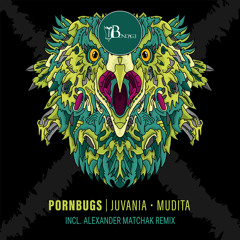 Mudita (Alexander Matchak Remix)