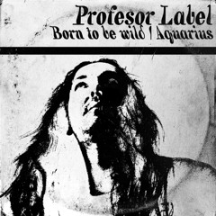 Profesor Label - "Born to Be Wild" (Think I'm Gonna Crash Mix), 2018.