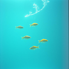 Underneath the Waves