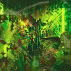 Premiere: Casanora - Water Lily (Entrañas Remix) | Infinite Machine