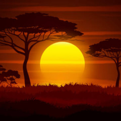 SET AFRO HOUSE - SUNSET FOREST