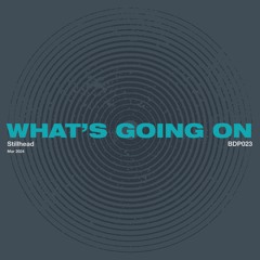 Stillhead - What's Going On [clip]