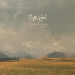 You're Amazing (Mellow Version)