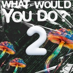 What would you do 2