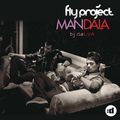 Fly Project Vs Benny Benassi - Mandala Satisfaction (Dj SaLVa)