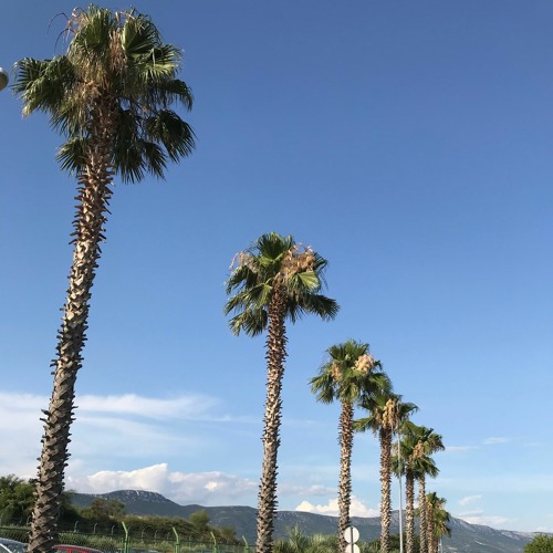 M1llionz - Y PREE (Hateondan Remix) *download link*