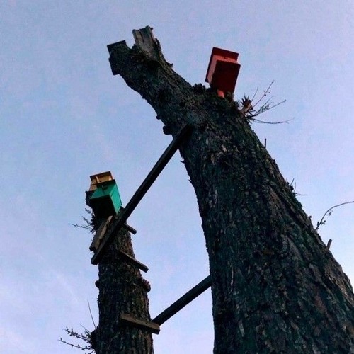 ssshhhiiittt! - Домой