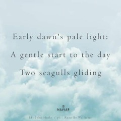 A gentle start to the day (naviarhaiku517)