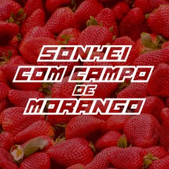 LUISA SONZA - SONHEI COM CAMPO DE MORANGO - VS FUNK RJ -  RUAN DA VK - RAFAEL FOXX - IURY FERNANDES