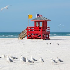 white-sand-christmas