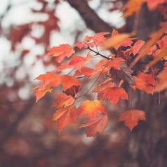 my wish for autumn