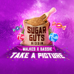 Walkes & Bassie - Take A Picture - (Sugar Guts Riddim)
