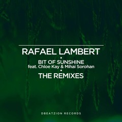 Rafael Lambert Ft. Chloe Kay & Mihai Sorohan - Bit Of Sunshine (Nayio Bitz Remix)