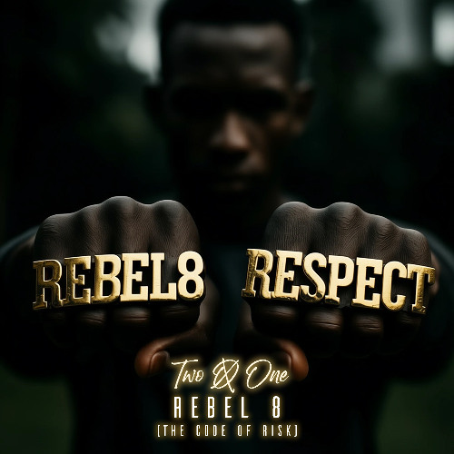 Rebel 8 (The Code of Risk)