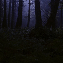 Burzum - Lost Wisdom2 (all instrument cover)