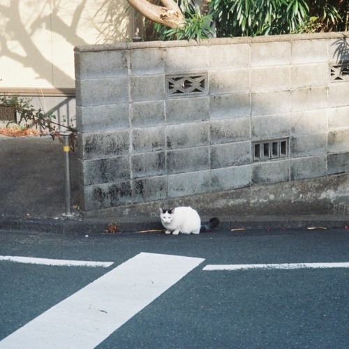 休みの日