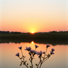 "The Closer You Came"