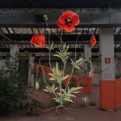 Rouge Ravage, Rouge Synonyme