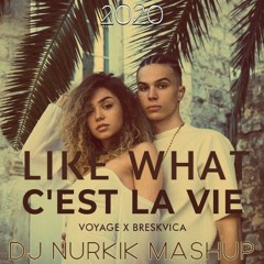 Voyage x Breskvica - C'est La Vie X LIKE WHAT (DJ NURKIK MASHUP 2020)