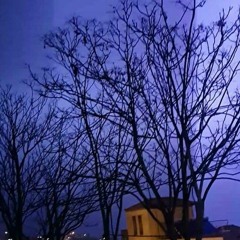 هزيم الذكريات..