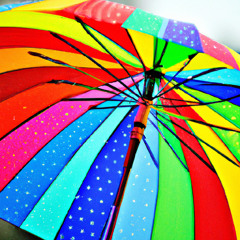 Colors in the Rain