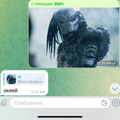 хищник + @pus3chkk