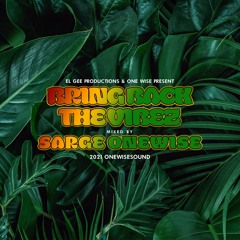 Bring Back The Vibez - mixed by Sarge OneWise