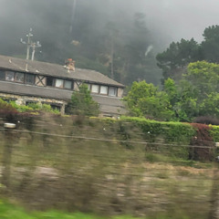 LWYD (775)
