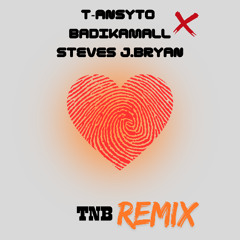 TNB Remix