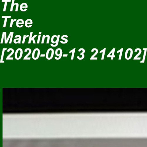The Tree Markings [2020-09-13 214102]