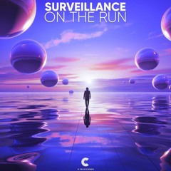 Surveillance - Entropy
