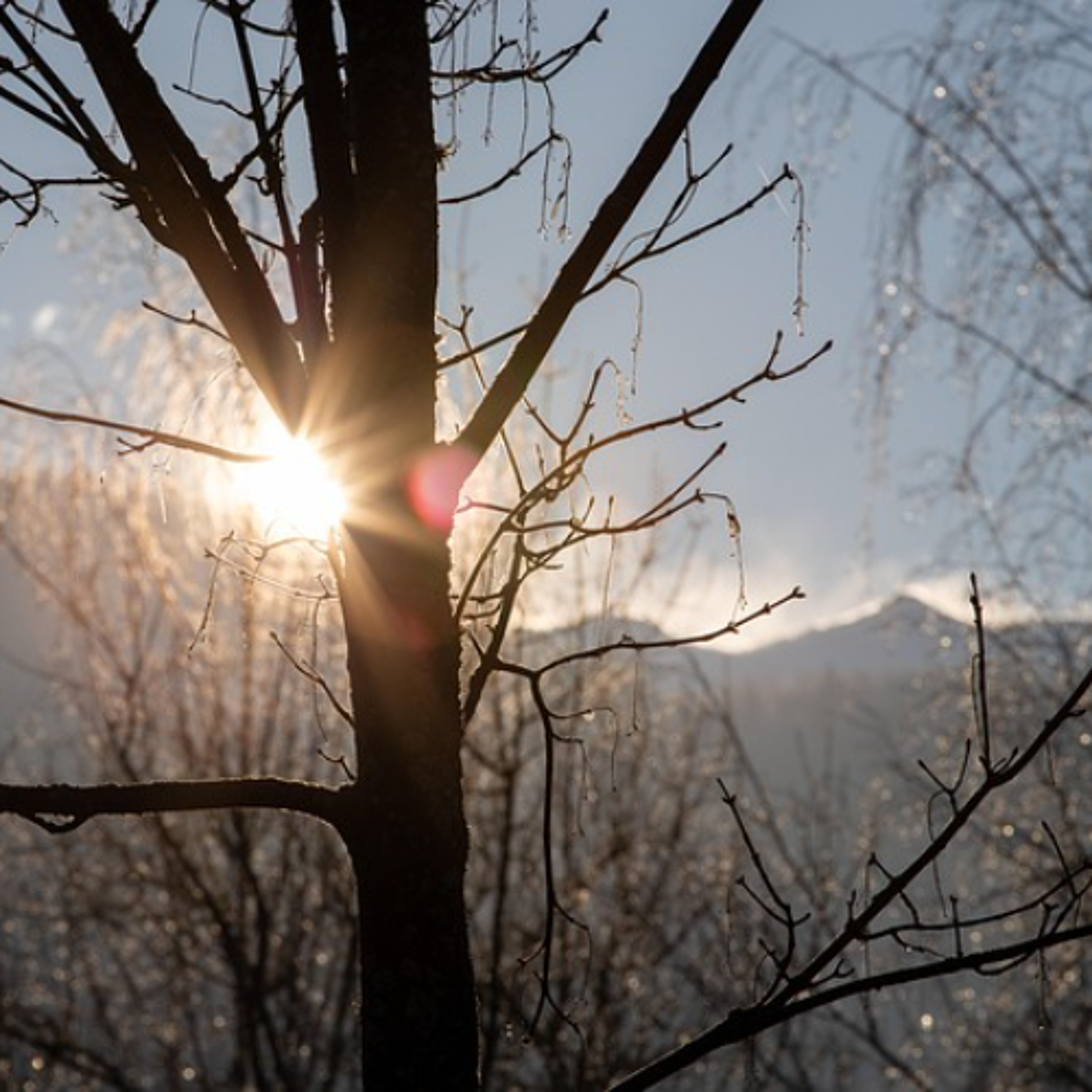 Painfully Down & Dirty: A Personal Story from Tamar - The Tamar Yonah Show