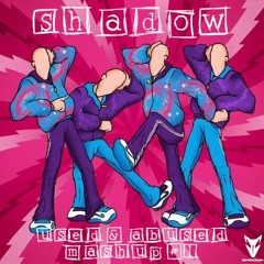 Shadow - Used & Abused Mashup #1 (Radio Mix)