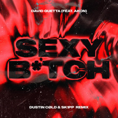 DAVID GUETTA & AKON - SEXY BTCH (DUSTIN CØLD & SK1PP REMIX)