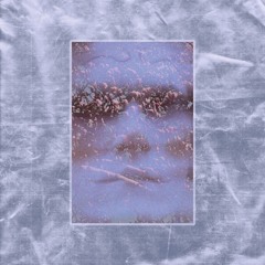 PREMIÈRE : Teeth — Dogsheaven