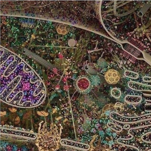 Mix by Ti Fred