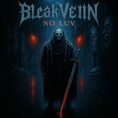 𝓑𝓵𝓮𝓪𝓴 𝓥𝓮𝓲𝓷 - No Luv