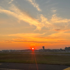 I Know - Cover - Fiona Apple