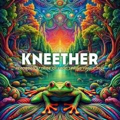 Kneether - Recorded at TRiBE of FRoG Spring Finale - April 2024