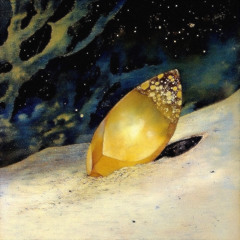 amber in the sand (capsuletrack)