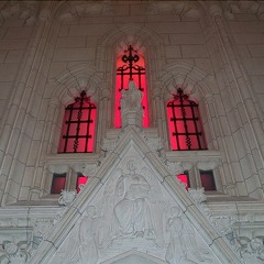 Bull shi lean (unmixed)