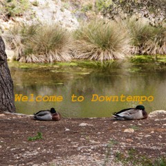 Welcome to Downtempo