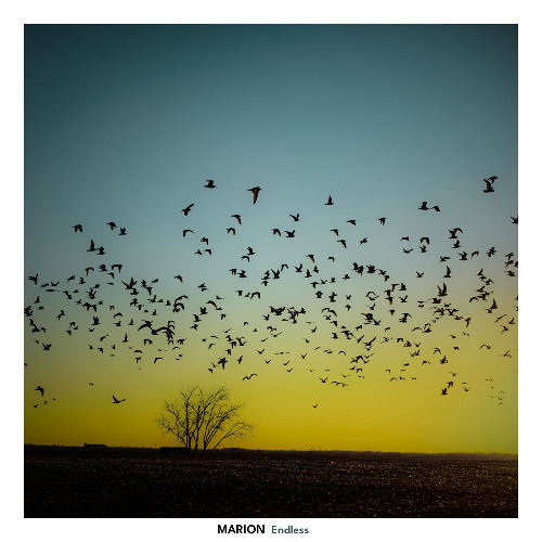 MARION - Endless