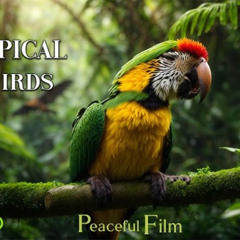 luister voor n goeie dag loveee