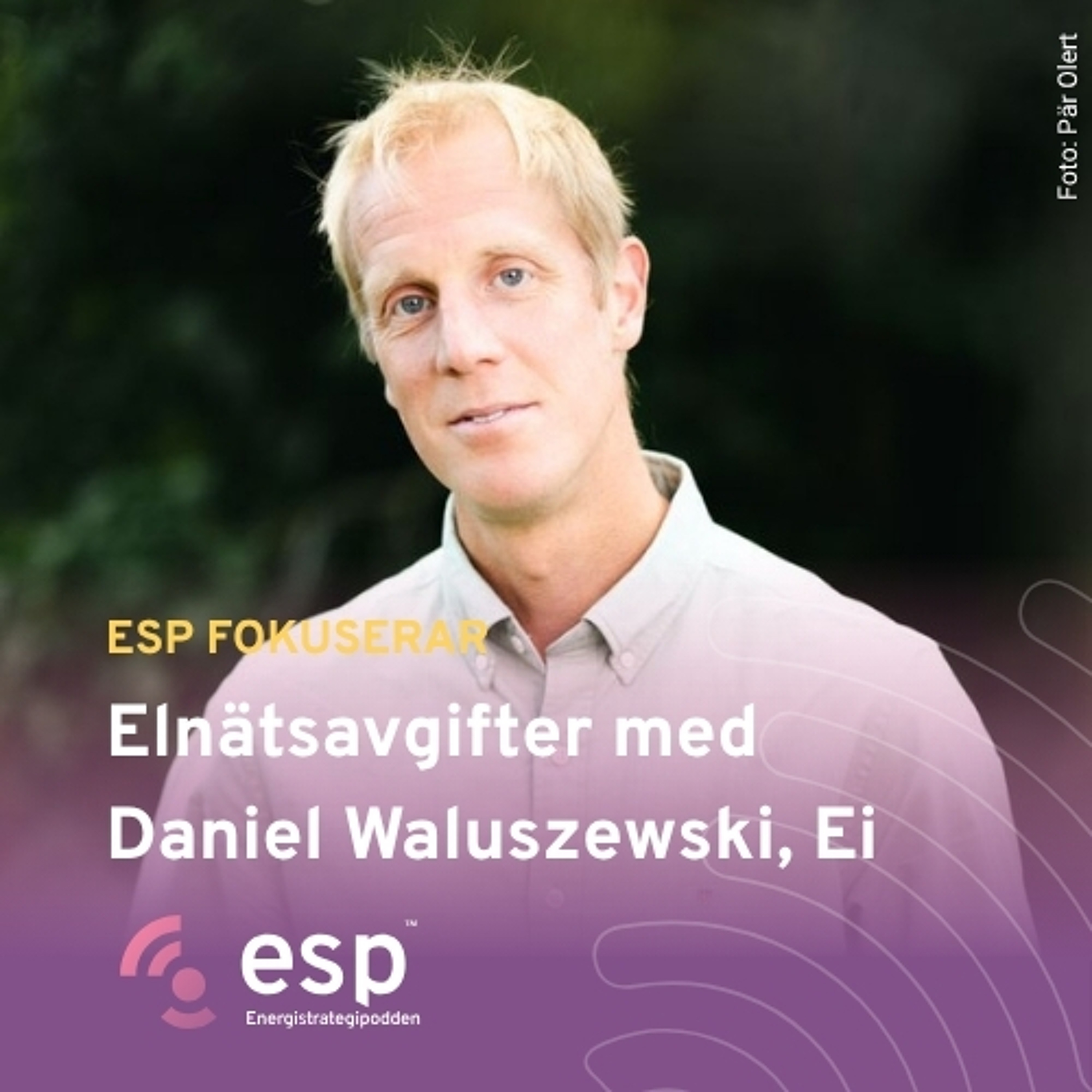 #362 - ESP fokuserar på utredningen om effekter av regleringen av elnätsavgifter med Daniel Waluszewski, Energimarknadsinspektionen episode artwork