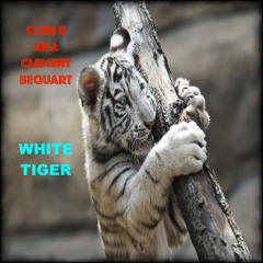 White Tiger